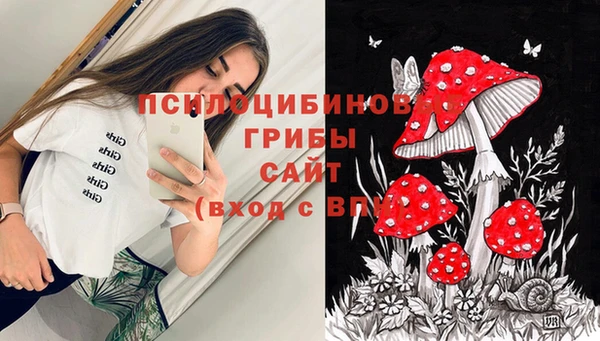 мяу мяу мука Балабаново