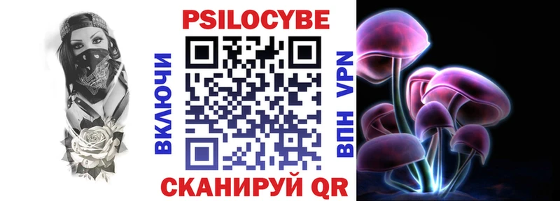 Псилоцибиновые грибы Psilocybe Вольск